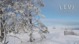 MAGNEETTI, LEVI, TALVIPÄIVÄ
