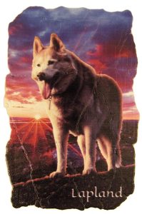 MAGNET, FRESCO, HUSKY