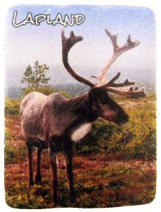 MAGNEETTI, KIVILAATTA, KESÄPORO