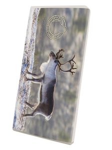 CHOCOLATE BAR, REINDEER '&QUOT;NET PRICE&QUOT;'