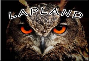 MAGNET, OWL, 8X5.5 CM '&QUOT;NET PRICE&QUOT;'