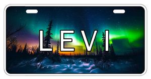 REKISTERIKILPI, REVONTULI / LEVI