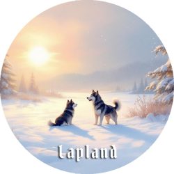 TARRA HUSKYT TALVELLA