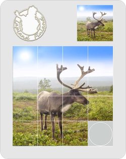PUZZLE GAME SUMMER REINDEER