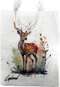 KANGASKASSI, SEISOVA PORO