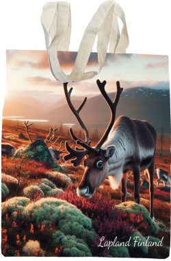 KANGASKASSI, PORO TUNTURISSA