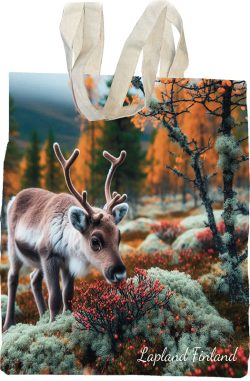 KANGASKASSI, PORON VASA TUNTURISSA