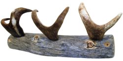 COAT RACK, KELO, 3 REINDEER ANTLER HOOKS
