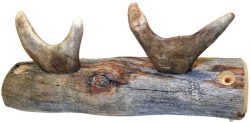 COAT RACK, KELO, 2 REINDEER ANTLER HOOKS