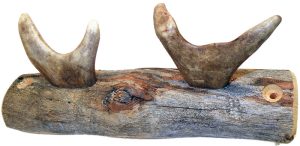 COAT RACK, KELO, 2 REINDEER ANTLER HOOKS