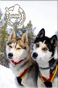 MAGNET, HUSKY, ARCTIC CIRCLE