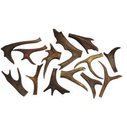 SARVEN LAPA-JA HAARAPALASIA, n.1 KG PUSSI (n.17 kpl)