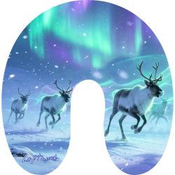 NISKATYYNY JUOKSEVAT POROT/REVONTULET/LAPLAND