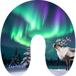 NISKATYYNY PORO/REVONTULET/LAPLAND